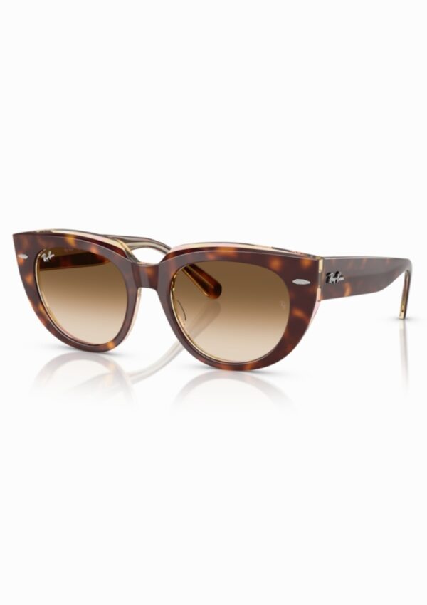 RAYBAN